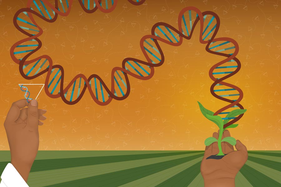 SpearheadBio-website-image SpearheadBio-website-image