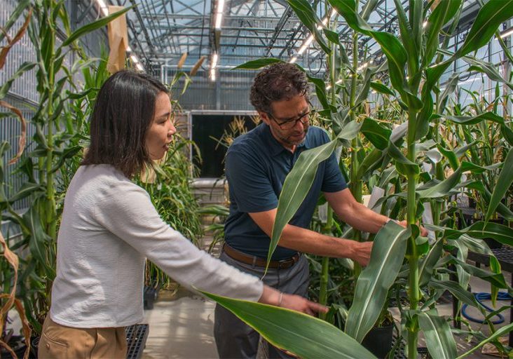 Spearhead Bio Release_02