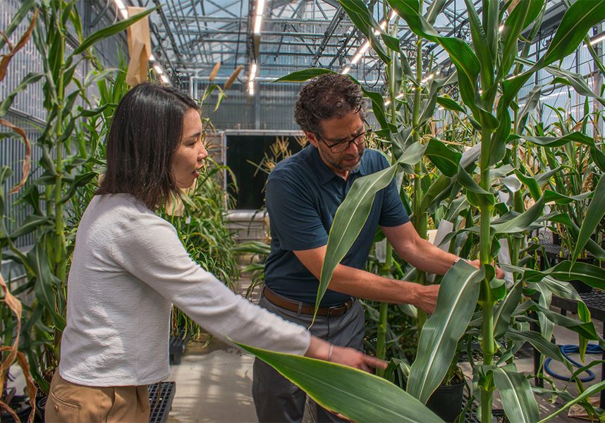 Spearhead Bio Release_02